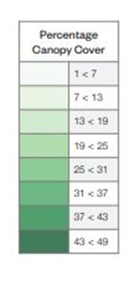 Tree-Canopy-Cover-table-image.JPG Tree-Canopy-Cover-table-image.JPG