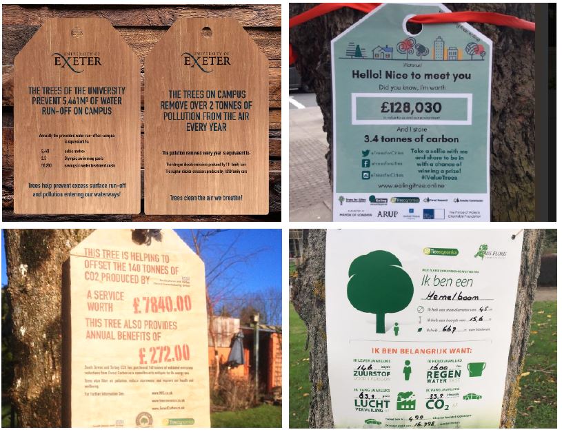Images of Tree Tag Examples