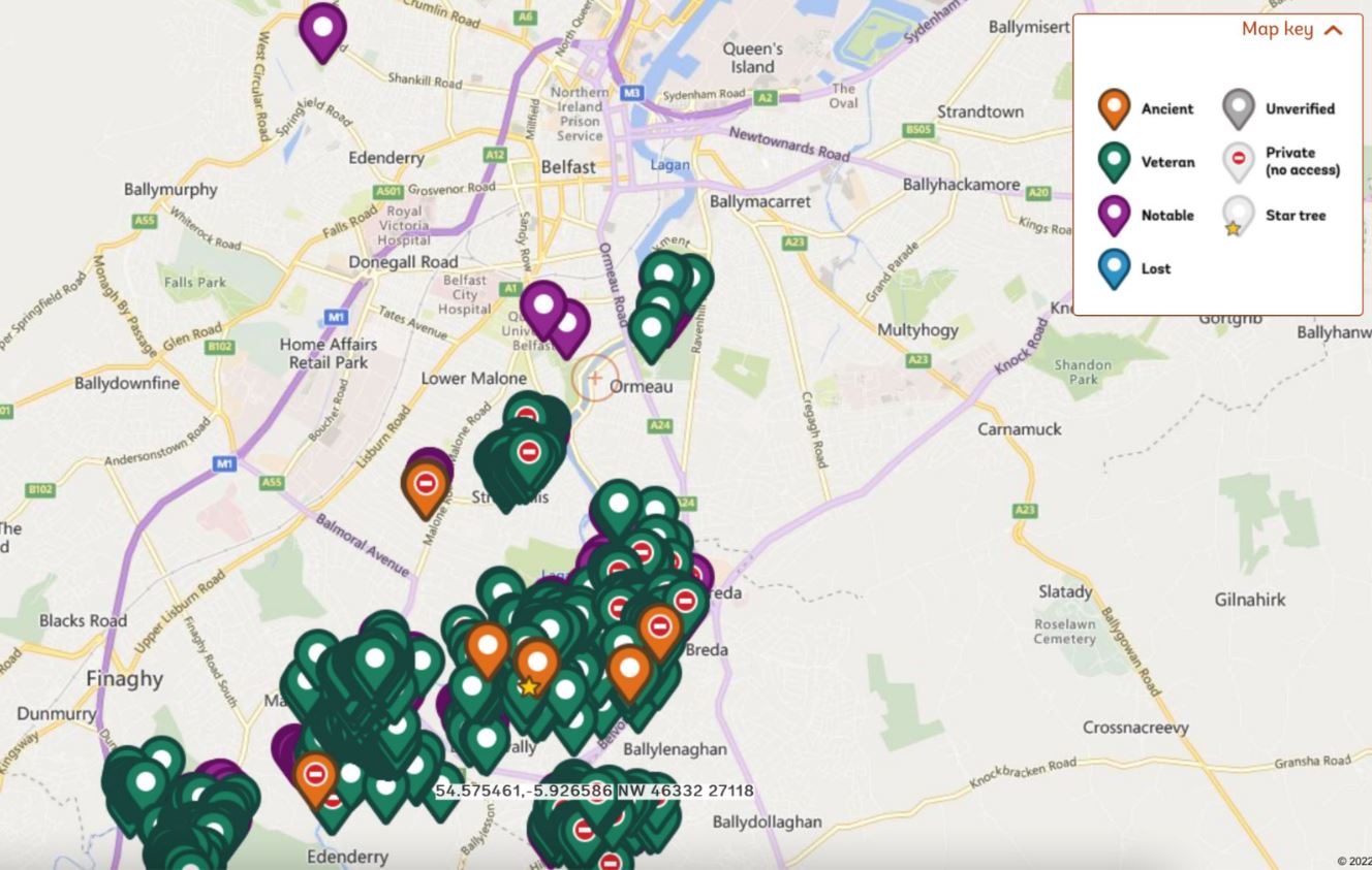 A street map of Belfast's recognised trees. All are displayed as coloured pins, with orange representing ancient trees, green for veteran trees, and purple for notable trees. Additional pins shown include star trees, and private non-access trees. Veteran trees are by far the most prominent tree mapped, dominating the South-West of the graphic, located in Antrim.