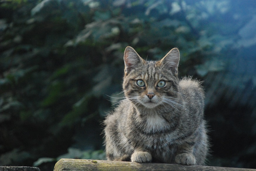 lacey-gregory-young-third-2025.jpg lacey-gregory-young-third-2025.jpg