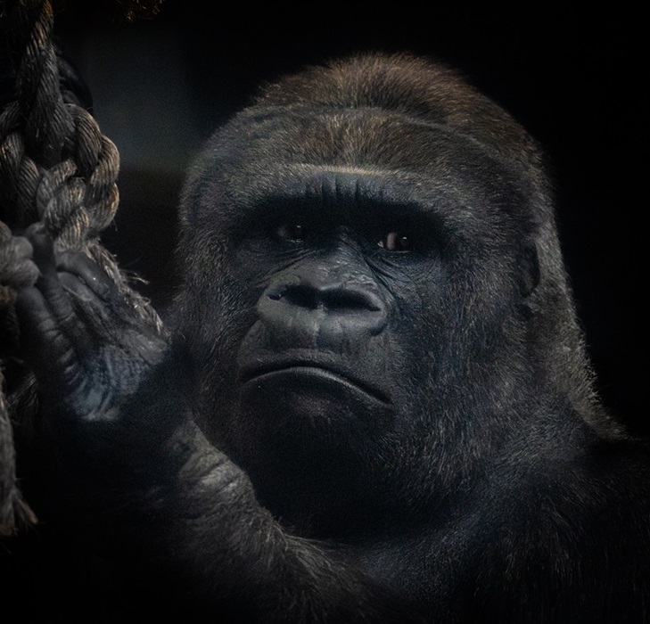 bruce-marshall-wildlife-third-2025.jpg bruce-marshall-wildlife-third-2025.jpg