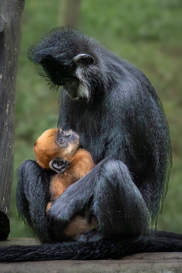 paul-mcIlwaine-professional-first-2025.jpg paul-mcIlwaine-professional-first-2025.jpg