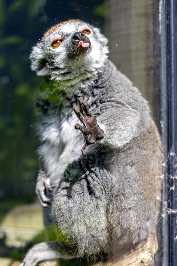 barry-blaney-caption-third-2025.jpg barry-blaney-caption-third-2025.jpg