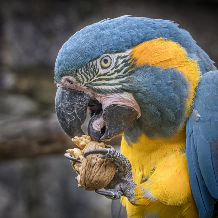 frances-price-professional-second-2025.jpg frances-price-professional-second-2025.jpg