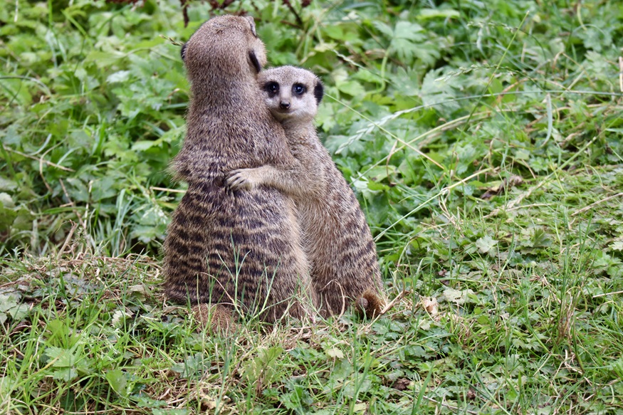 lily-hovers-young-first-2025.jpg lily-hovers-young-first-2025.jpg