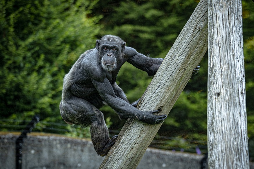 paul-mcfarland-professional-third-2025.jpg paul-mcfarland-professional-third-2025.jpg