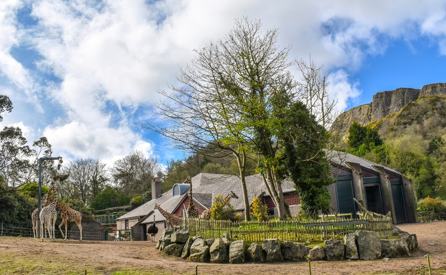 peter-soult-landscape-third-2025.jpg peter-soult-landscape-third-2025.jpg