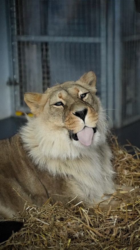 marina-wells-caption-first-2025.jpg marina-wells-caption-first-2025.jpg