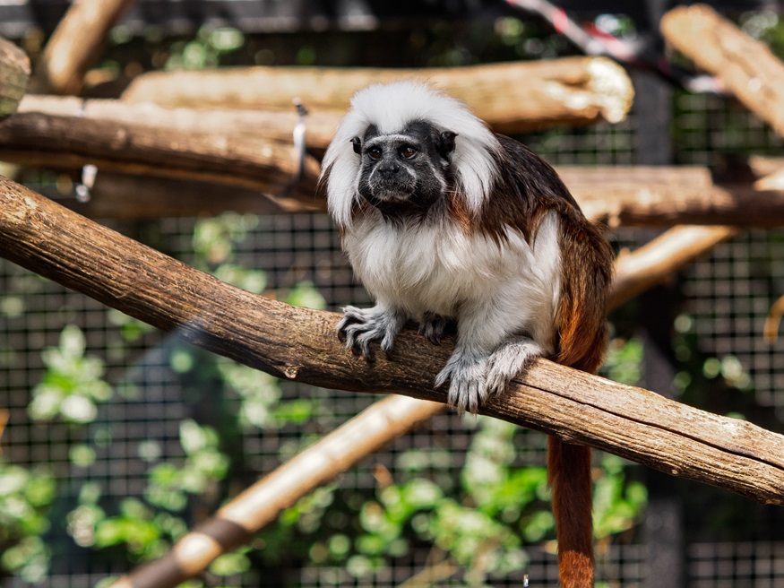 lily-hunter-young-highly-commended-2025.jpg lily-hunter-young-highly-commended-2025.jpg