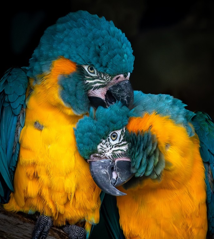 bruce-marshall-visitor-third-2025.jpg bruce-marshall-visitor-third-2025.jpg