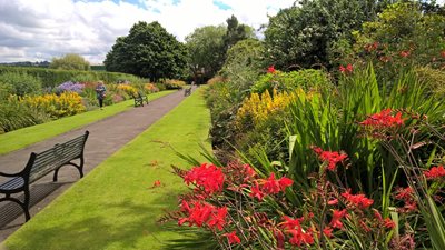 Image shows an herbaceous border in Botanic Gardens 