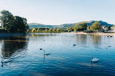 Image of Waterworks Park showing swans on the water and trees surrounding the water