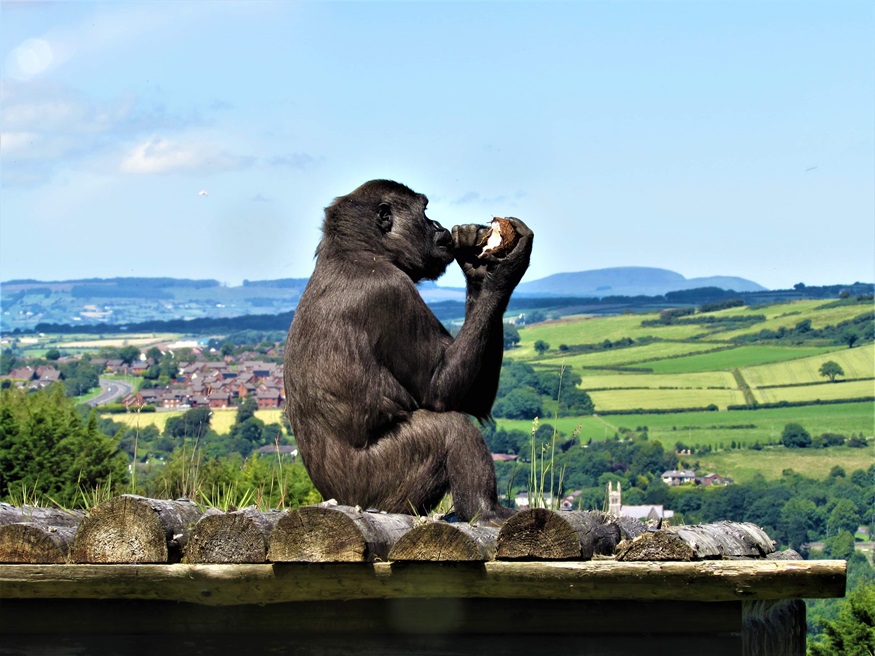 gemma-campbell-landscape-first-2025.jpg gemma-campbell-landscape-first-2025.jpg