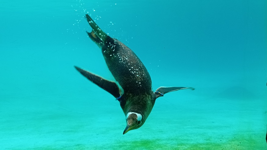 jessica-bickerstaff-young-second-2025.jpg jessica-bickerstaff-young-second-2025.jpg