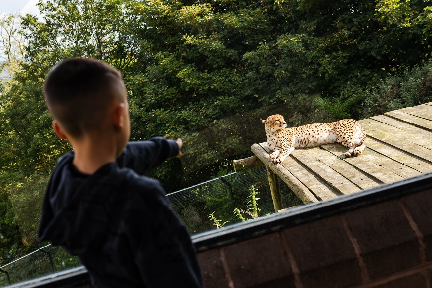 Two-for-one weekends in November