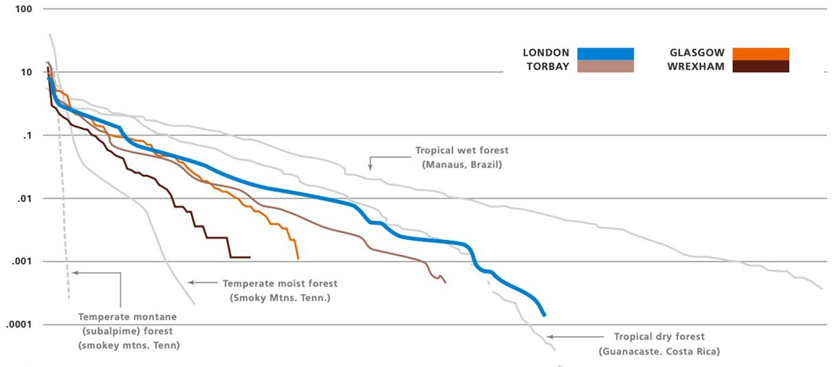 Line chart displaying the dominance diversity of 4 UK cities compared with 4 example forest types. The cities listed are London, Torbay, Glasgow, and Wrexham, and forest-types are temperate montane, temperate moist, tropical wet, and tropical dry. The Y-axis represents the percent relative species abundance, and the X-axis represents the species rank in abundance. The graph shows that London exhbits the greatest dominance-diversity, most closely aligned to that of a tropical dry forest. Wrexham is the least diverse, displaying the steepest dominace curve of the 4 cities, and is better aligned with the species rank of a temperate moist forest.