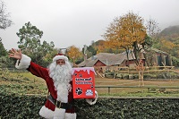 Feel Festive at Belfast Zoo