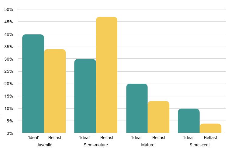 Bar chart with the percentage of trees on the Y-axis and maturity of trees on the X-axis. The graph displays ‘Richard’s ideal’ of 40 per cent Juvenile, 30 per cent Semi-Mature, 20 per cent Mature and 10 per cent Senescent. This is compared with Belfast’s tree population of 34 per cent Juvenile, 47 per cent Semi-Mature, 13 per cent Mature and 4 per cent Senescent. This shows that Belfast’s trees are well balanced with the exception of Semi-Mature trees which have a higher than ideal population.