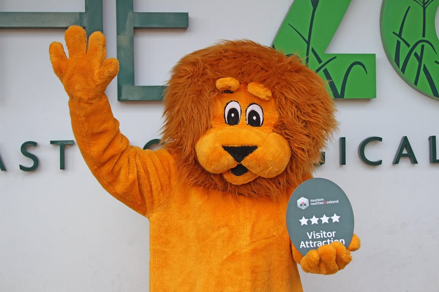 Brian the Lion celebrates Four Stars awarded by Tourism NI 