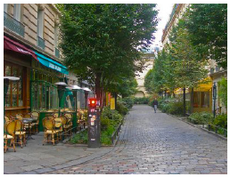 Leafy street