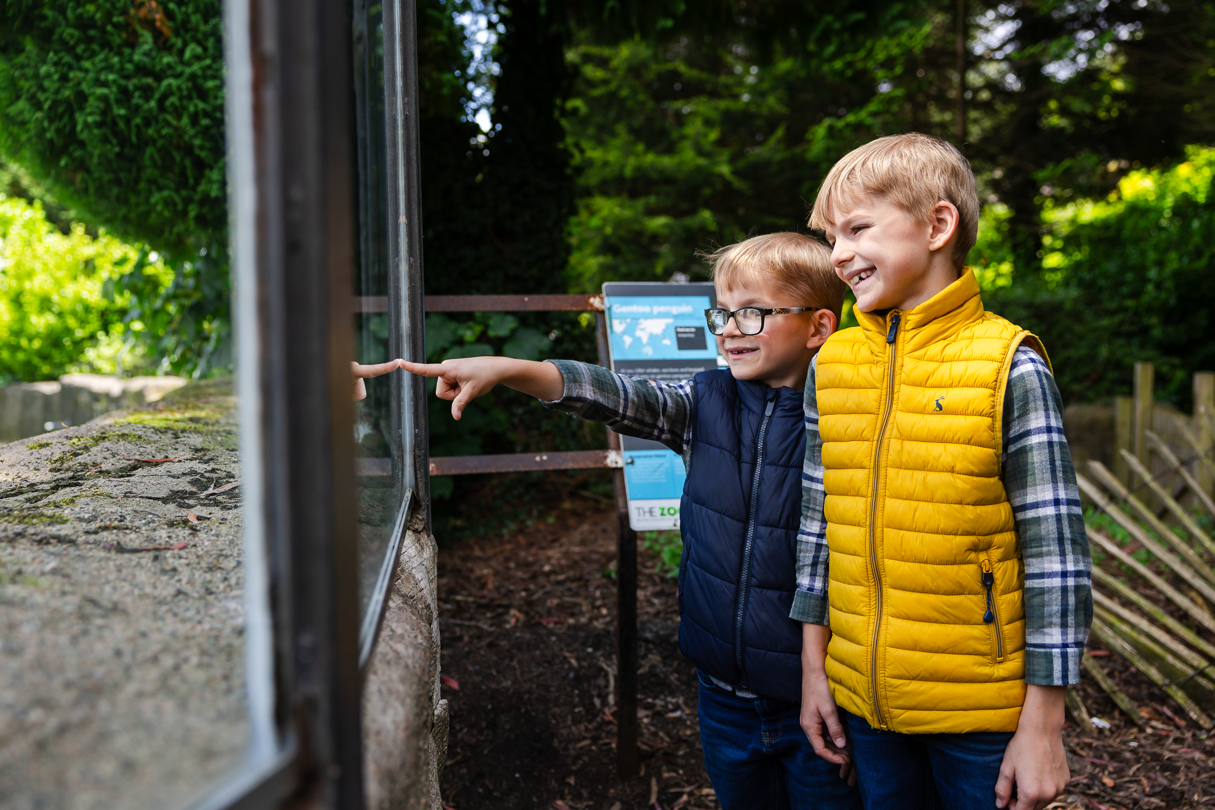 Happy Zoo Year! Kids go free this January 