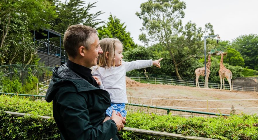 Hang out with us this half term for half price