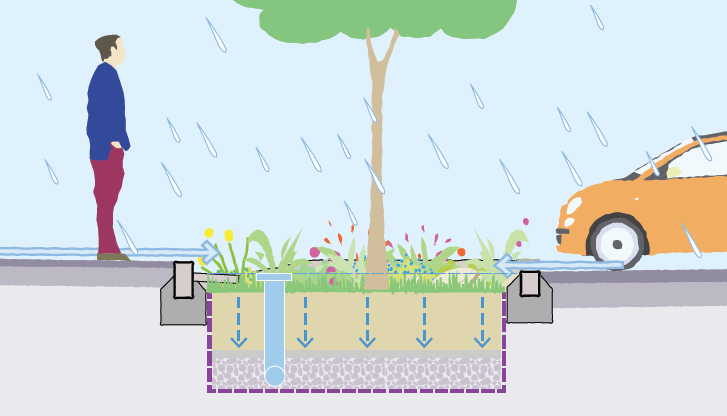 Bioretention Raingardens
