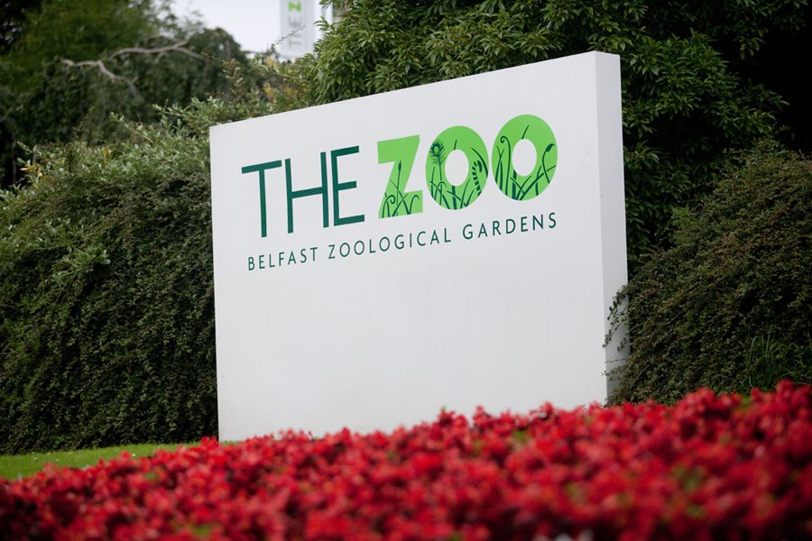 Belfast Zoo is closed on Saturday 4 October 2025