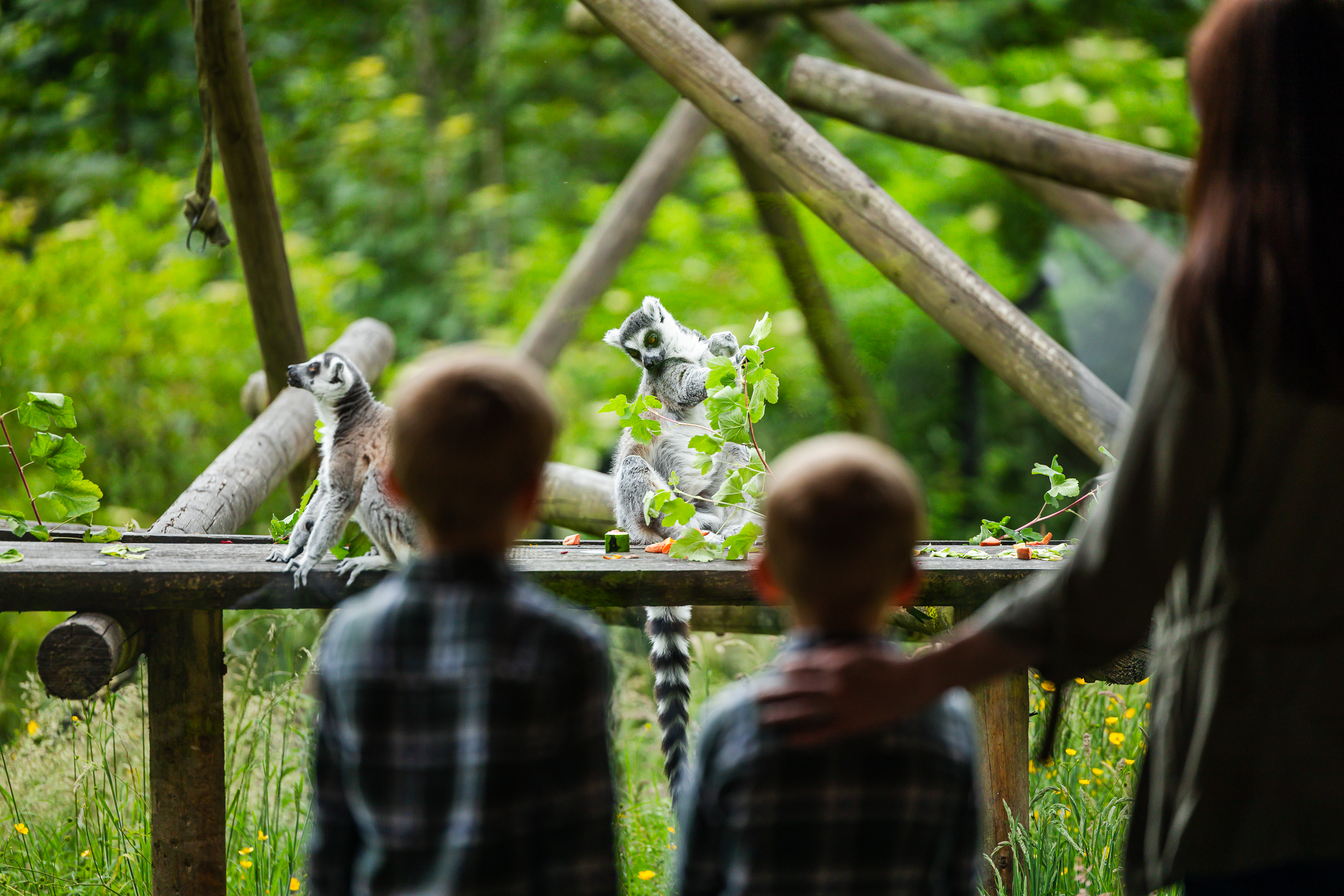 February Half Term Half Price