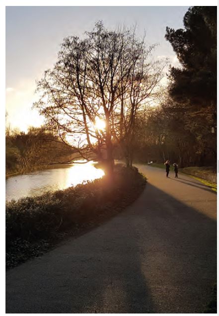 Walking route provided within public open space at Victoria Park.