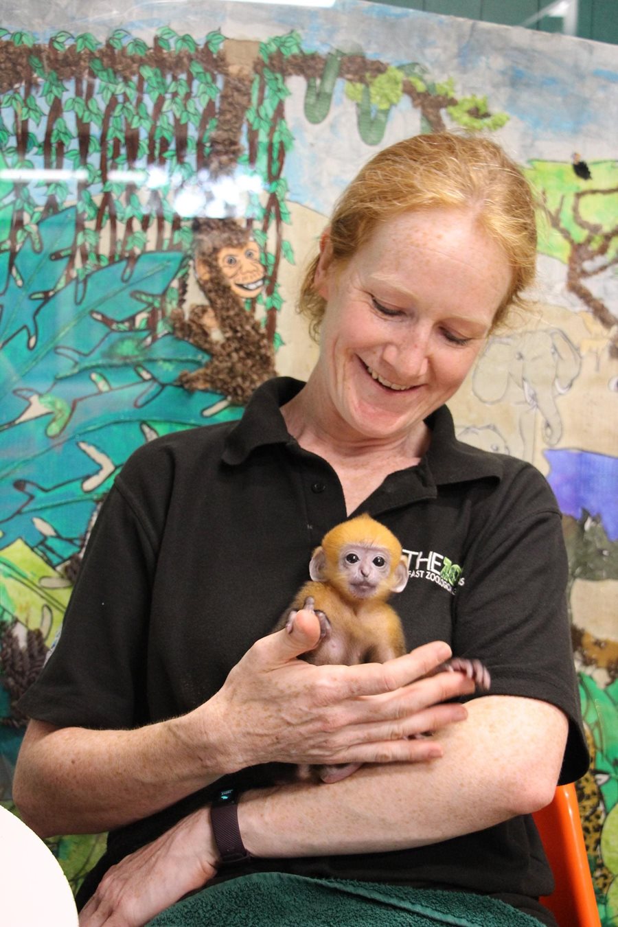  Rare new-born monkey gets a helping hand from keeper Geraldine