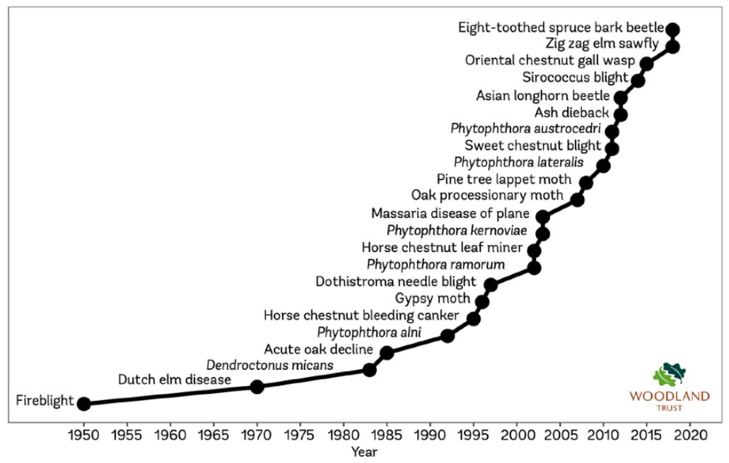 Line chart of  UK tree pests and diseases. The Y-axis represents pest or disease species, and the  X-axis represents the year of introduction to the UK, ranging from 1950 to 2020 at an interval of 5 years. The chart indicates that from 1950 to 1970, no new pests or diseases were reported, followed by a 15-year gap of introduction from 1970 to 1985. From 1990 to present-day, the data shows that introductions have occured much more frequently at intervals of 5-years or less. This indicates that there is a significant rise in the incidence of serious pest and disease within the UK.