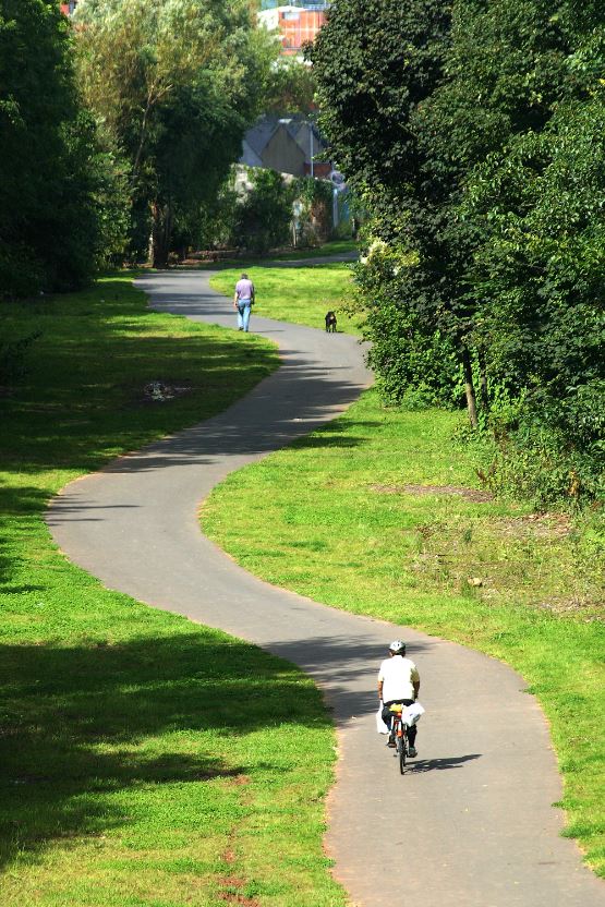 Cyclist and dog walker using Comber Greenway.