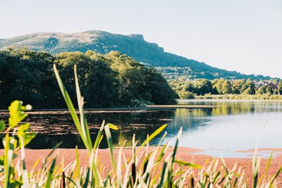 Waterworks Park Belfast
