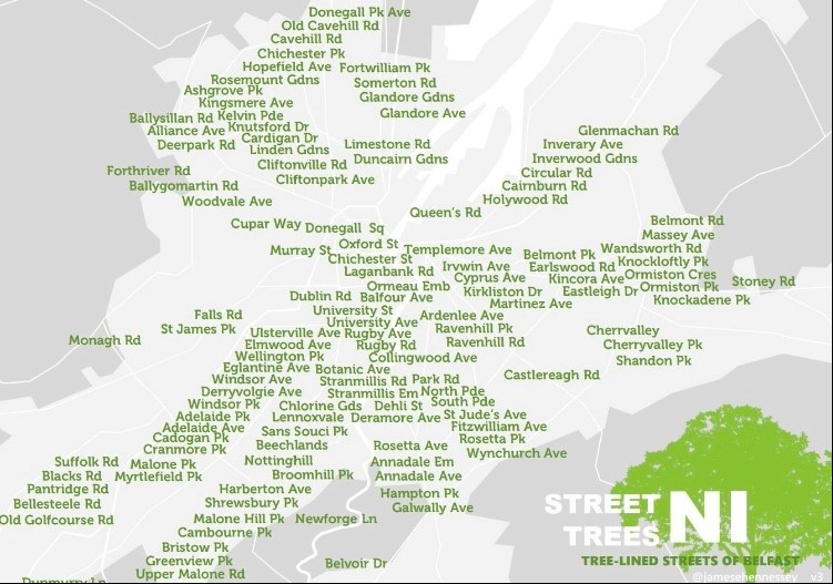 Graphic displaying the road names of all of the tree-lined streets of Belfast. The map shows there is an extensive network of tree-lined streets, especially to the centre and South of the image.