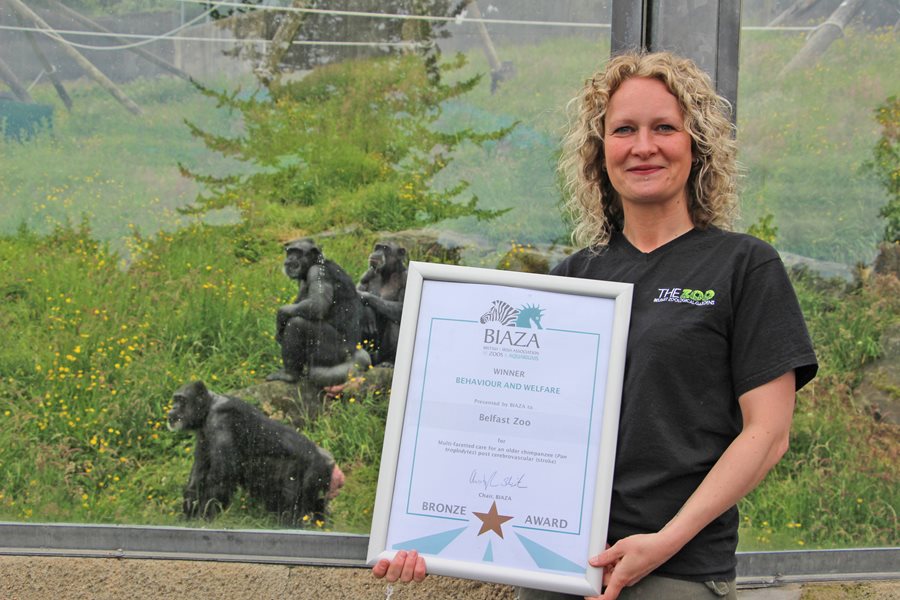 Belfast Zoo celebrates success with three BIAZA Awards