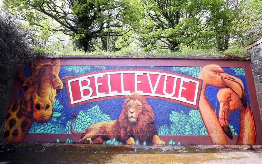 New murals add splash of colour to Belfast Zoo