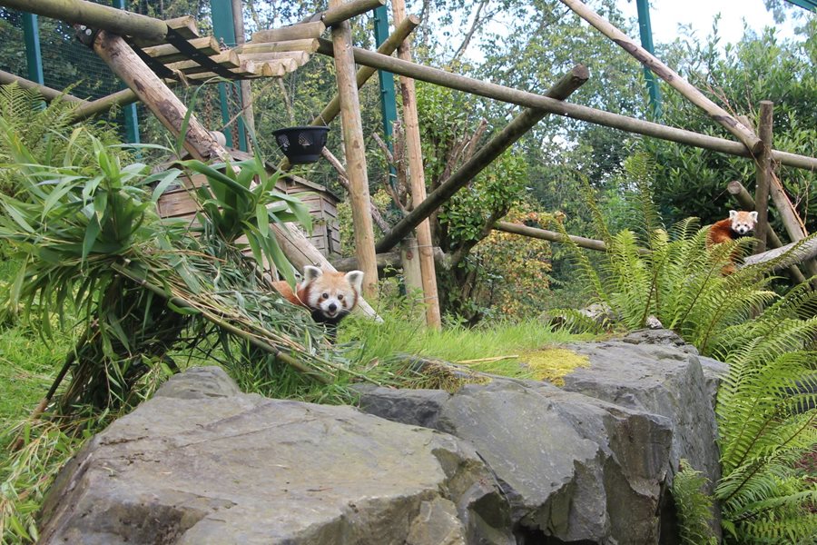 Belfast Zoo Annual Photography Competition