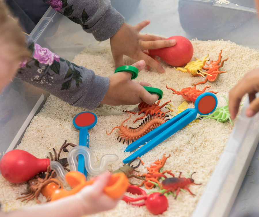 Sensory Day