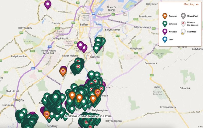 A street map of Belfast's recognised trees. All are displayed as coloured pins, with orange representing ancient trees, green for veteran trees, and purple for notable trees. Additional pins shown include star trees, and private non-access trees. Veteran trees are by far the most prominent tree mapped, dominating the South-West of the graphic, located in Antrim.