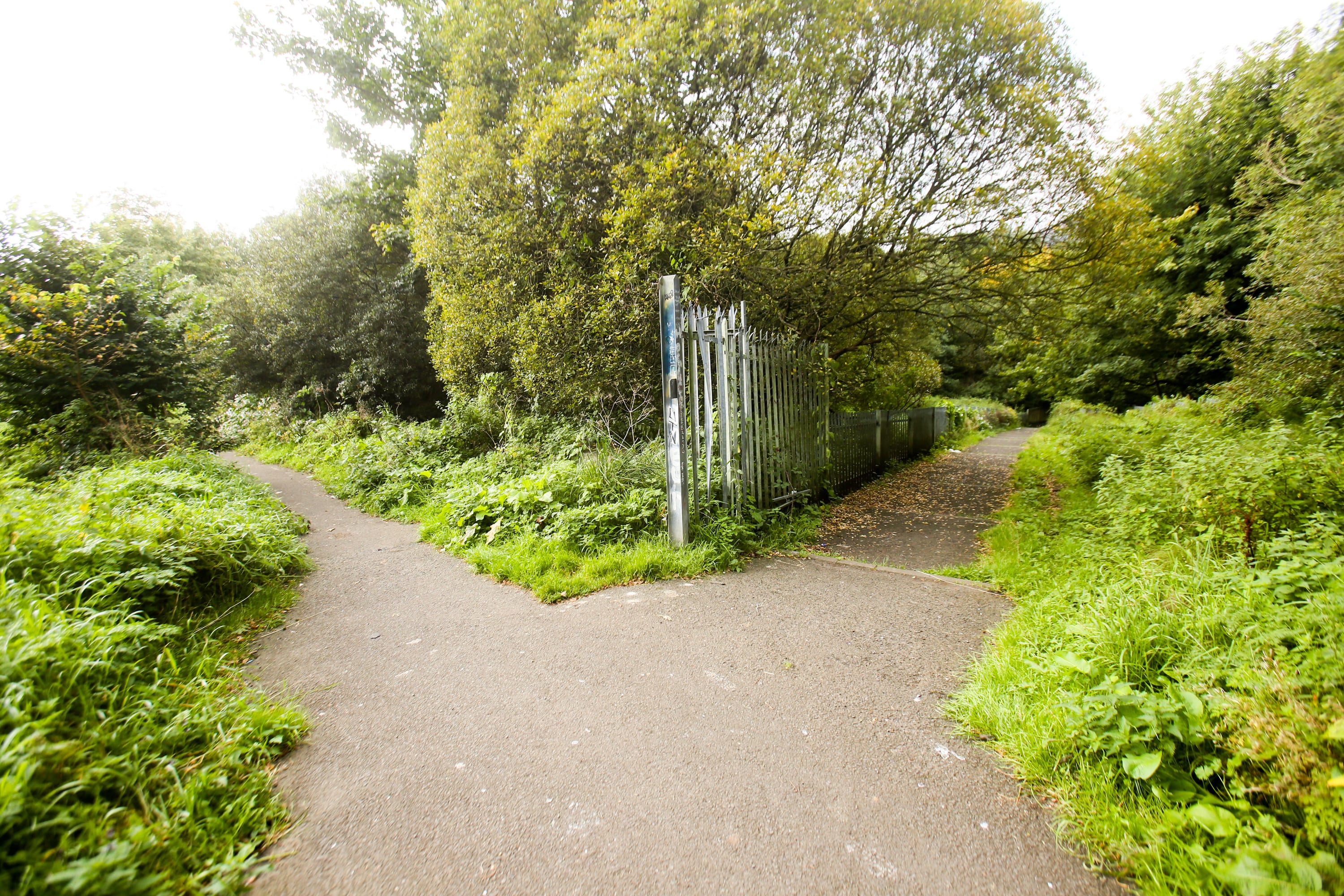 Forth Meadow Community Greenway in Belfast.