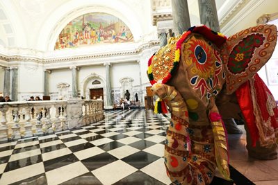 Elephant puppet on tiled floor inside Belfast City Hall 