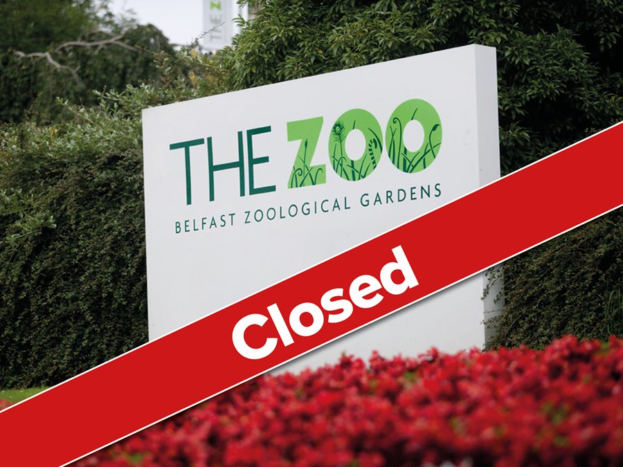 Belfast Zoo is closed